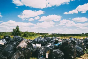 Scopri di più sull'articolo Consulenza Smaltimento Rifiuti