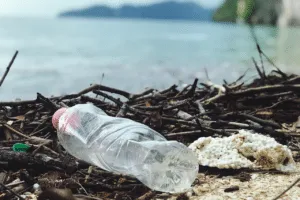Scopri di più sull'articolo Smaltimento Plastica