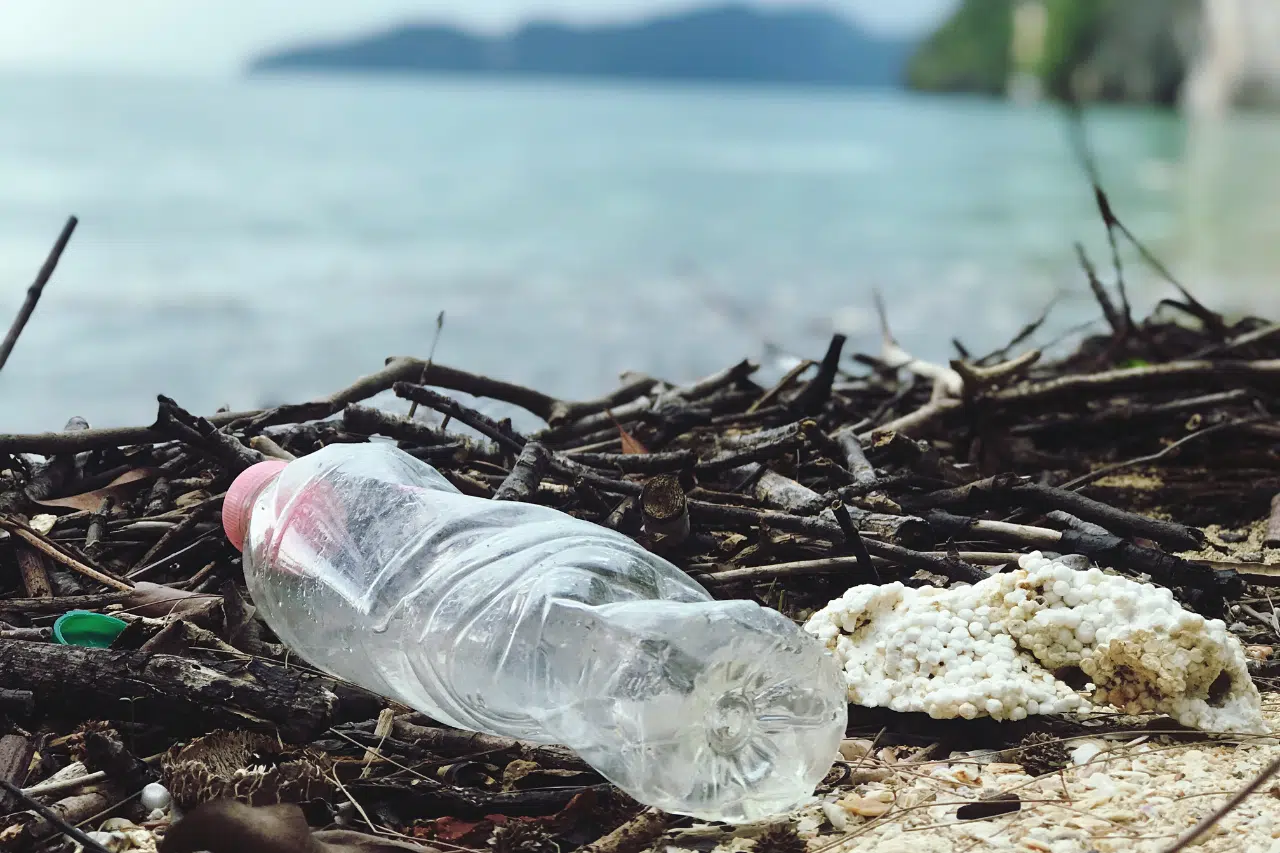 Scopri di più sull'articolo Smaltimento Plastica