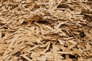 Scopri di più sull'articolo Smaltimento Legno