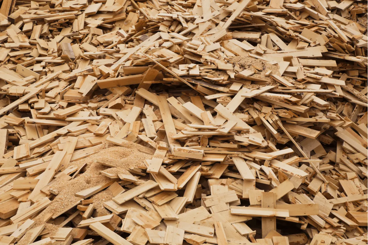 Scopri di più sull'articolo Smaltimento Legno